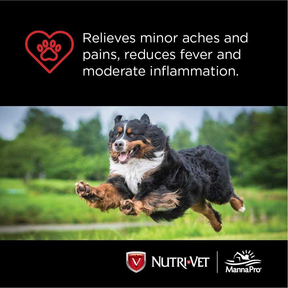 Aspirin for Large Dogs G290