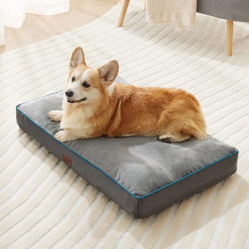 Washable Dog Bed Large 3 Inch Thicken Grey Y843228