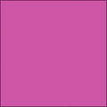 Middle Rose Filter Z741366