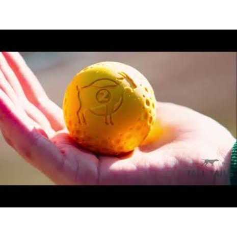 Goat Sport Ball Dog Toy D15416