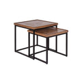 Mango Wood u0026 Iron Nesting Tables (Set of 2) - Brown U22379