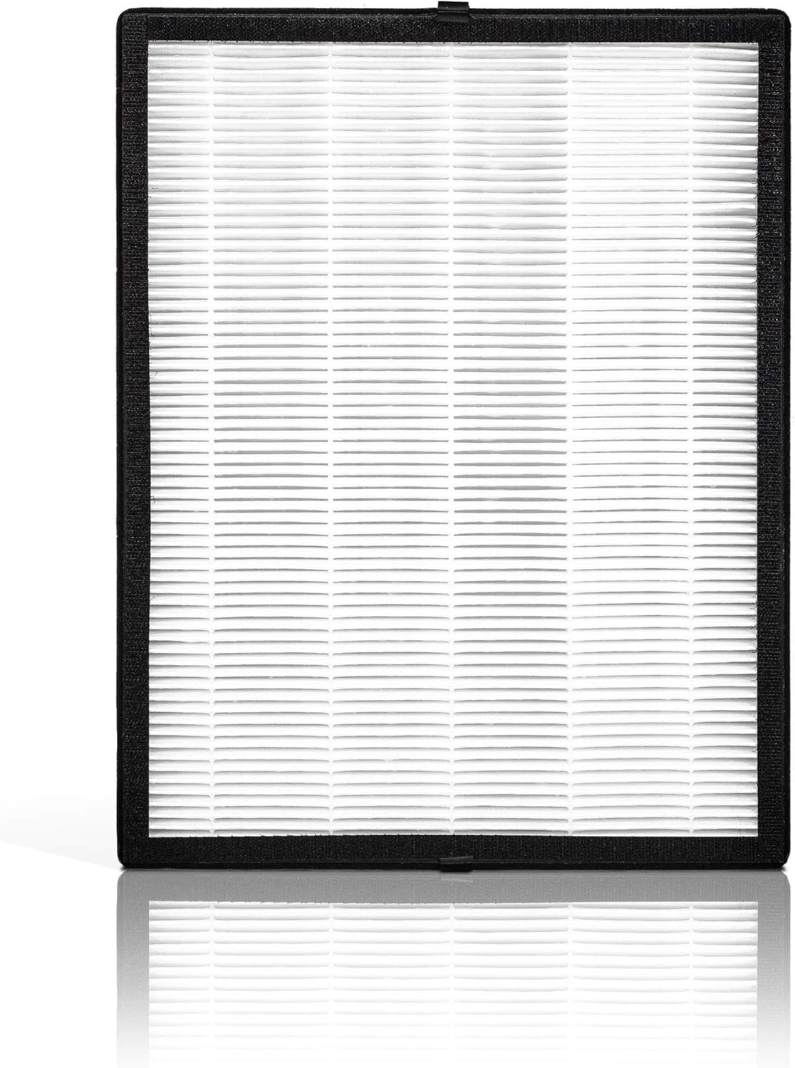 True HEPA Replacement Air Filter Pack of 2 L546728