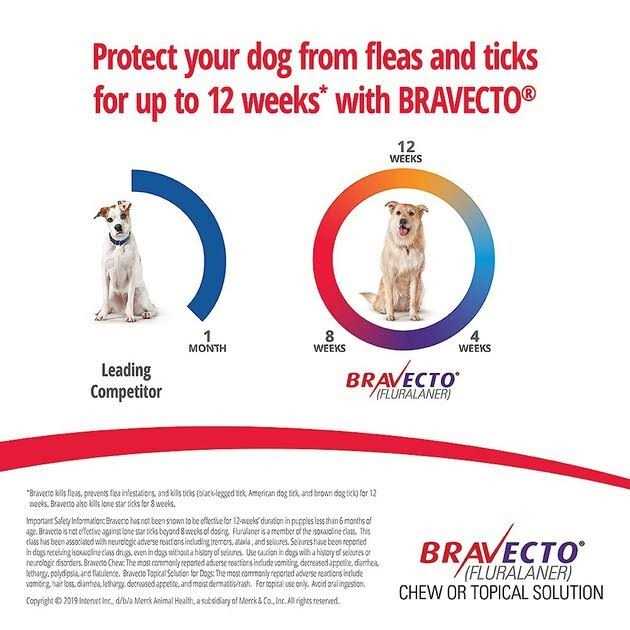 Bravecto Chews for Dogs L834