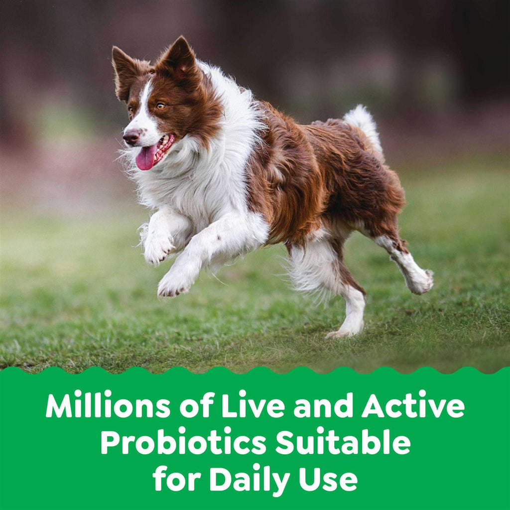 Probiotics for Dogs Chicken Flavor A964794
