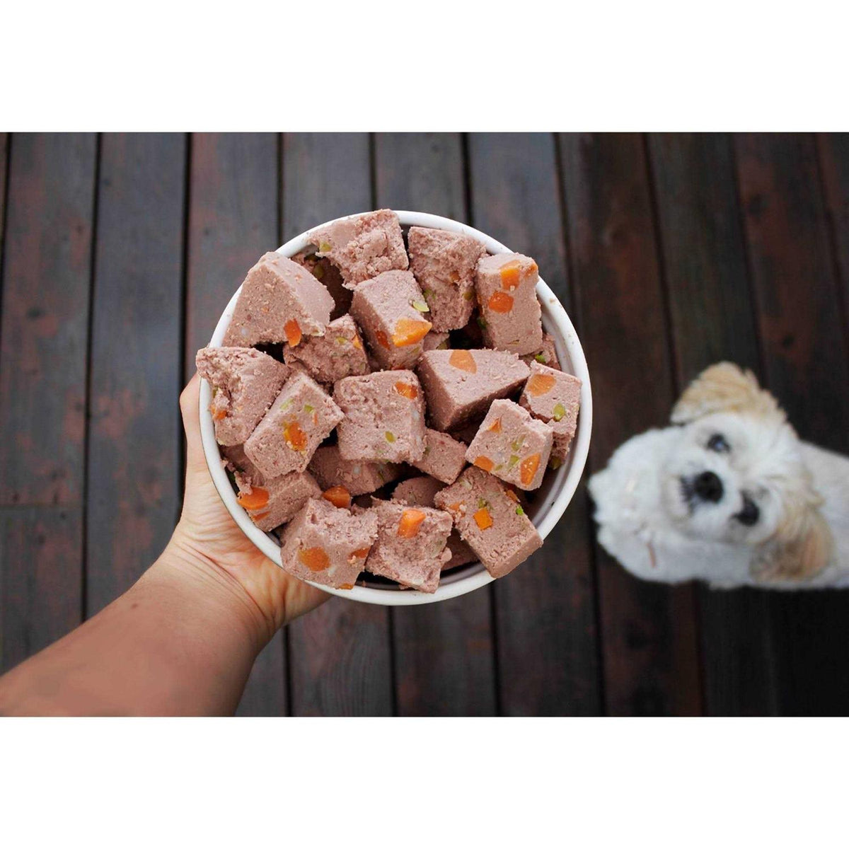 Grain Free Turkey Recipe Dog Food G474852