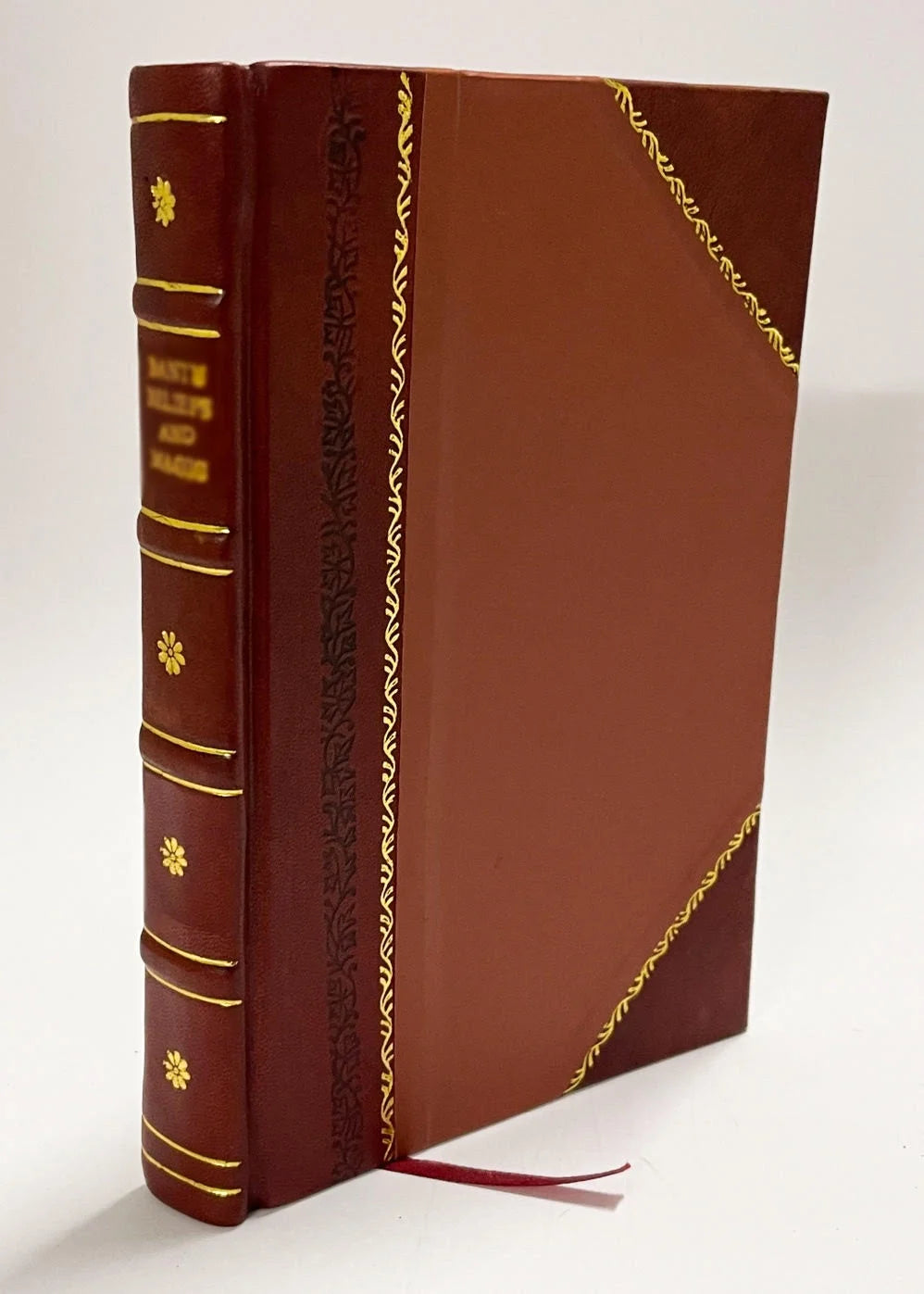 Leather Bound Book Z793