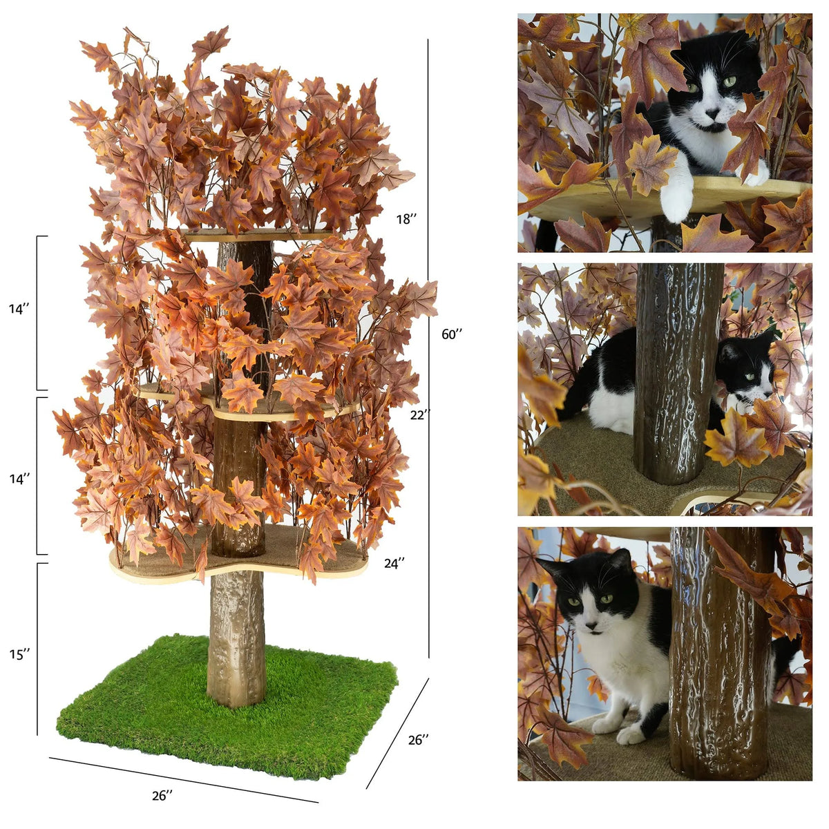 Plum Autumn 60-in Square Cat Tree I8886