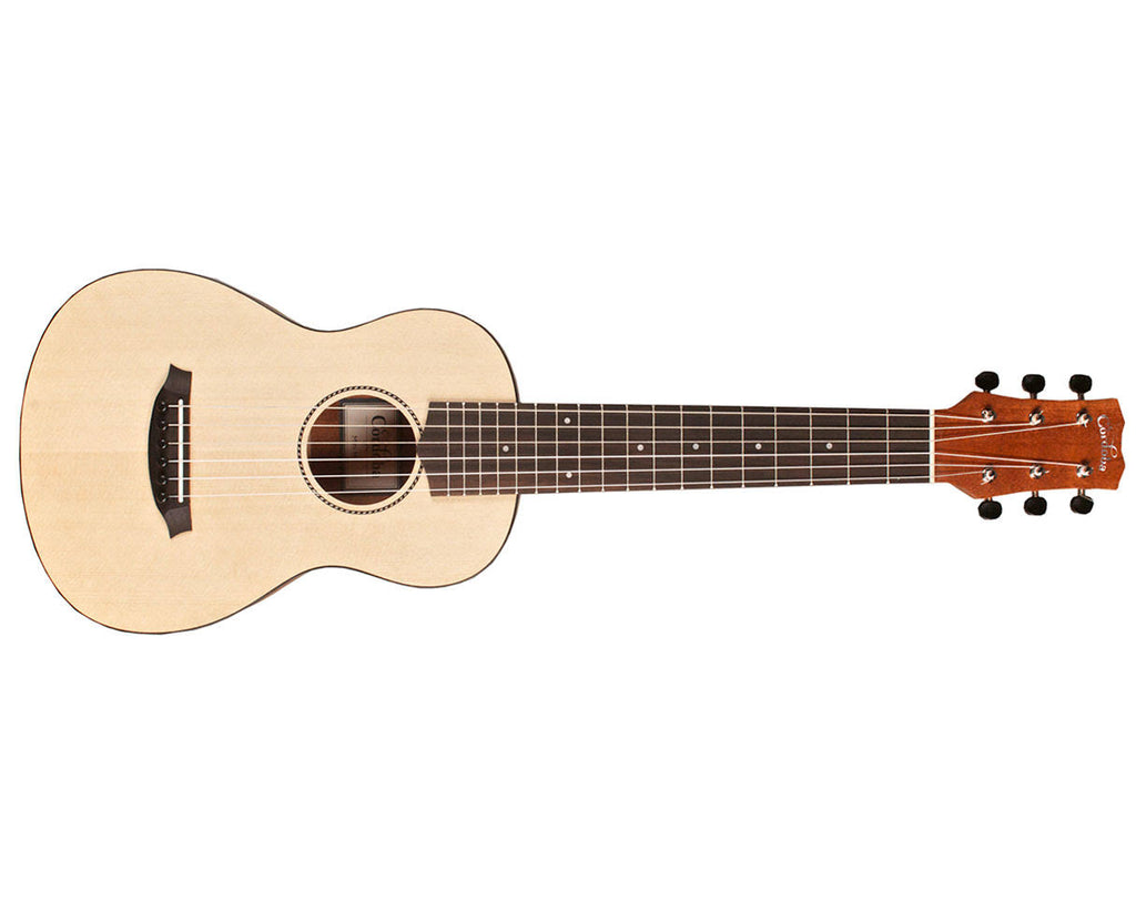 Mahogany Nylon String Classical Guitar J990384