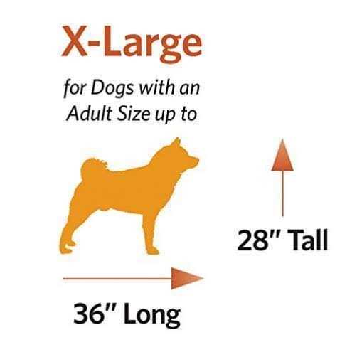 Double Door Dog Crate K993285