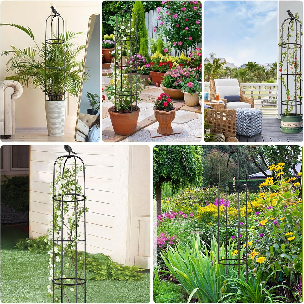 6ft Tall Plant Trellis for Climbing Plants L6738