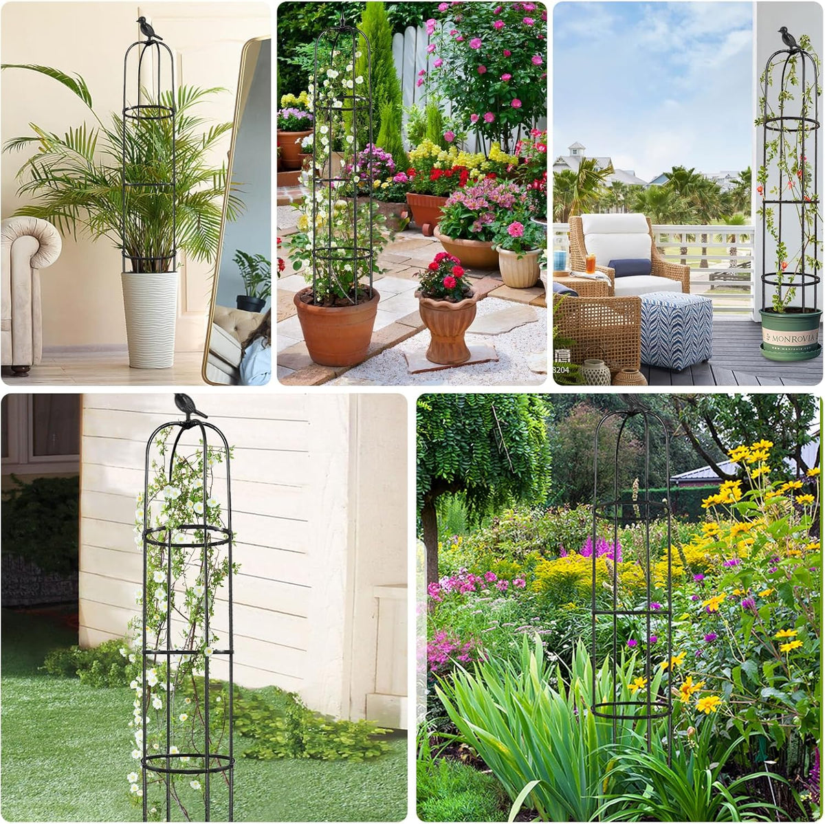 6ft Tall Plant Trellis for Climbing Plants L6738