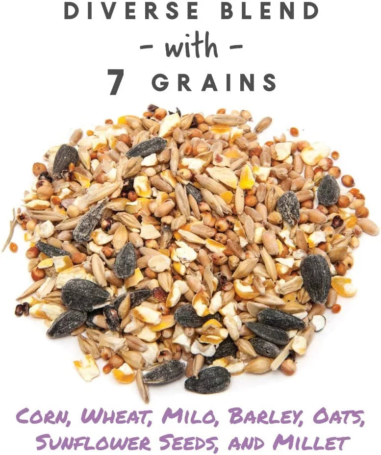 10 lbs Chicken Feed L66736