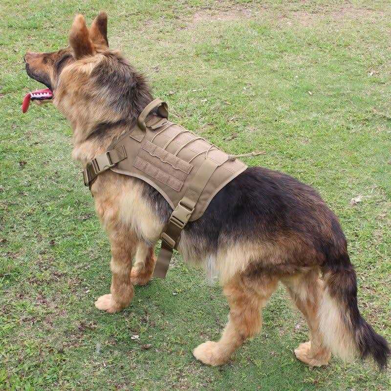 2X Metal Buckle Dog Harness with Handle L888870