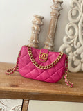 Small Hobo Bag Gold Hardware Pink F355139