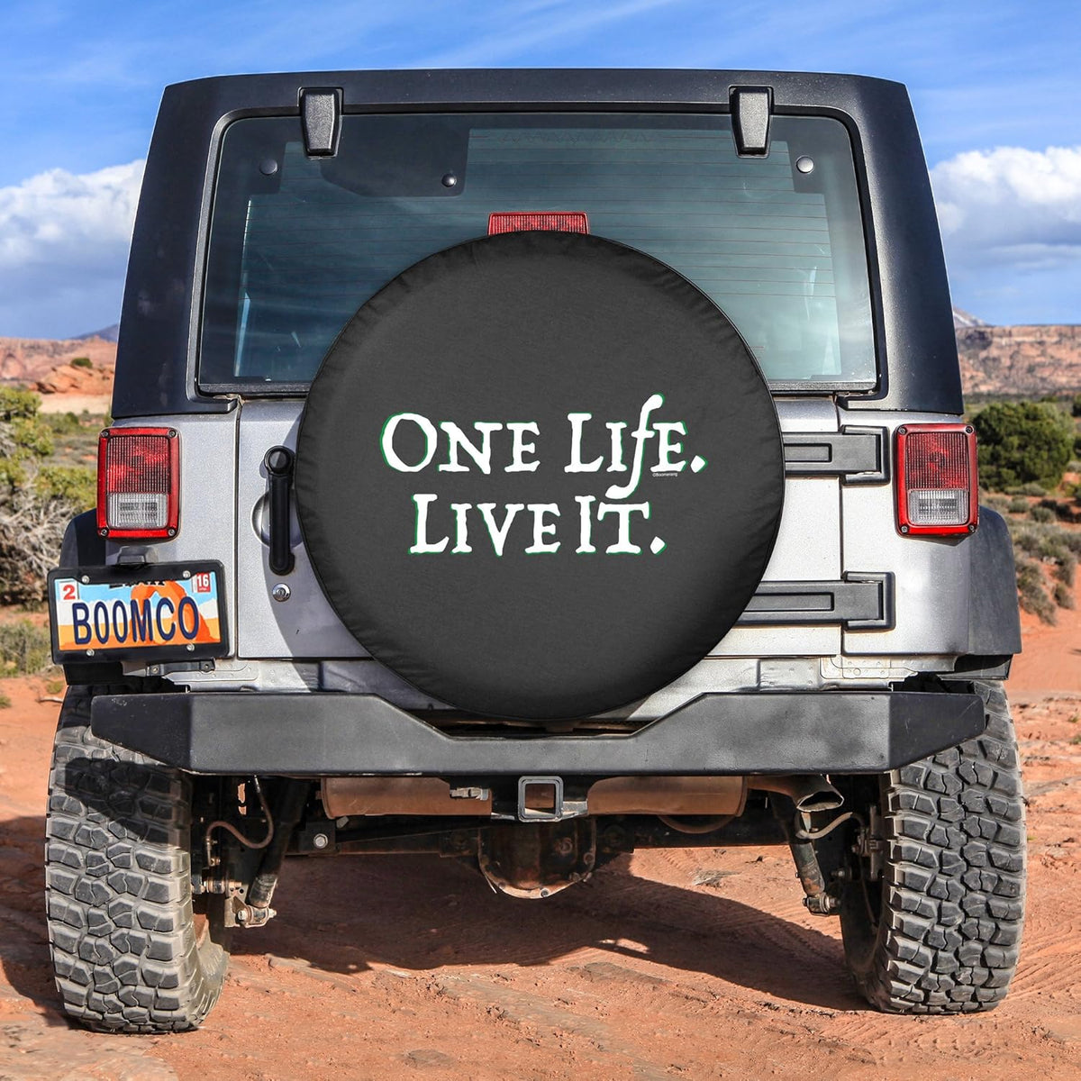 Spare Tire Cover Pack of 2 T807