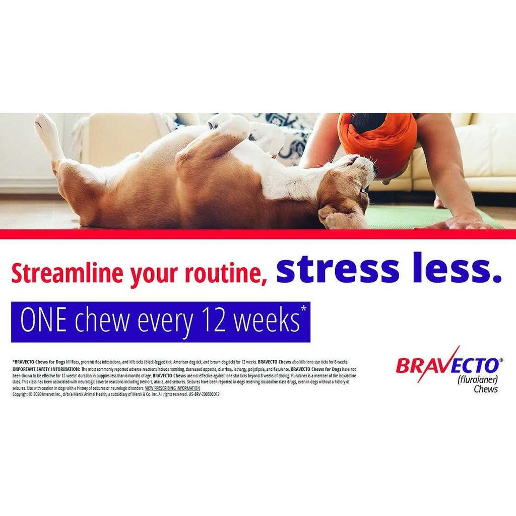 Bravecto Chews for Dogs L834