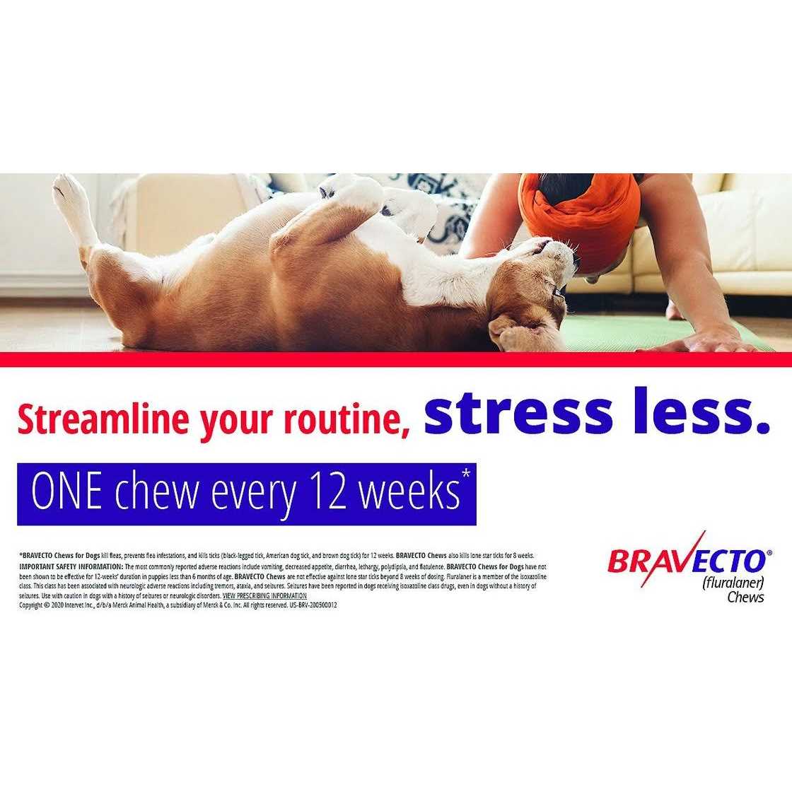 Bravecto Chews for Dogs L834