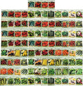 100 Assorted Heirloom Vegetable Seeds Non-GMO E12338