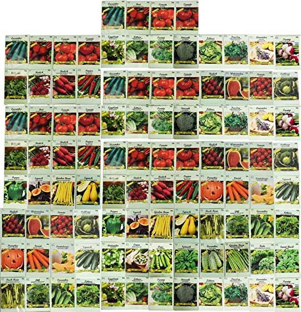 100 Assorted Heirloom Vegetable Seeds Non-GMO E12338