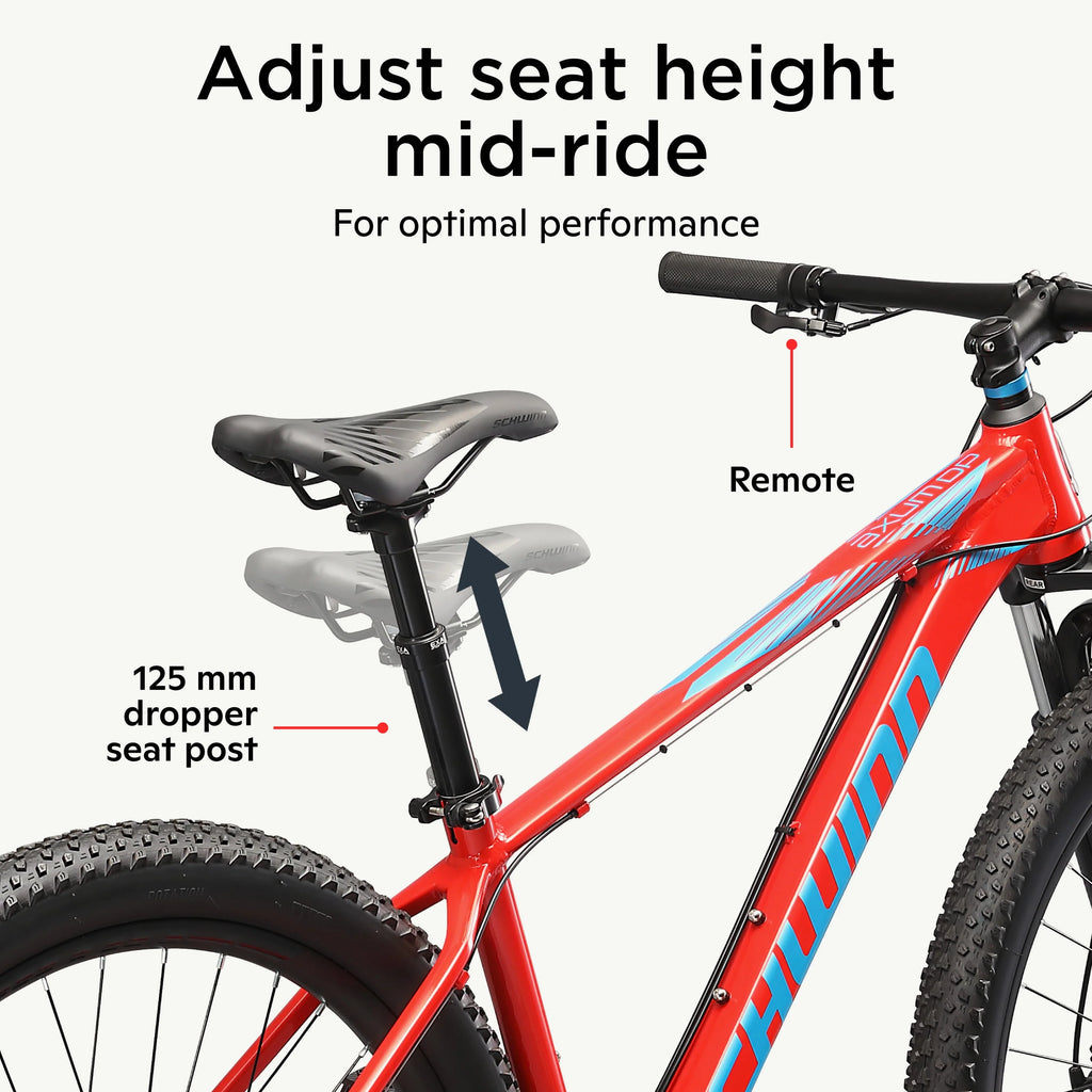 29 inch Mens Mountain Bike, 17 inch Frame Blue V19825