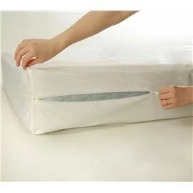 Firm Foam Eurotop Queen Mattress Set with Mattress Protector Q3241