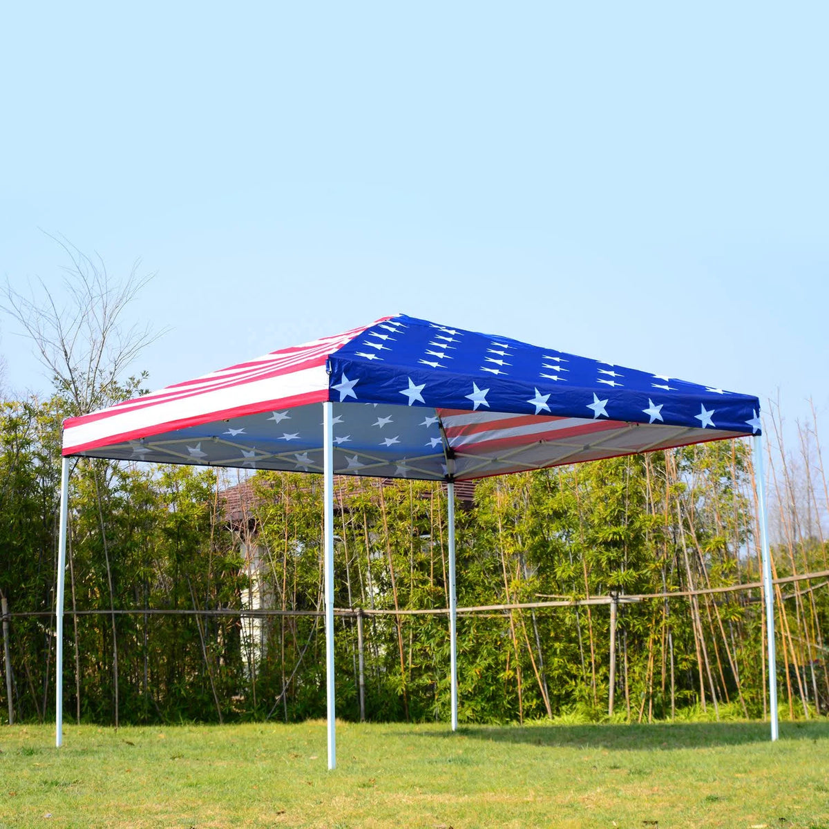 10 x 10 Pop-Up Canopy Tent with Mesh Walls W767803
