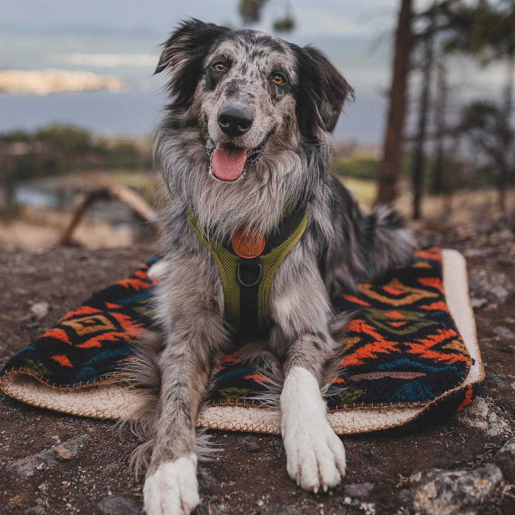 Sherpa Fleece Waterproof Blanket H6891