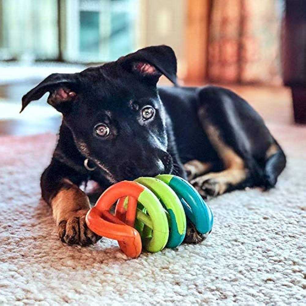 Dog Toy I2443