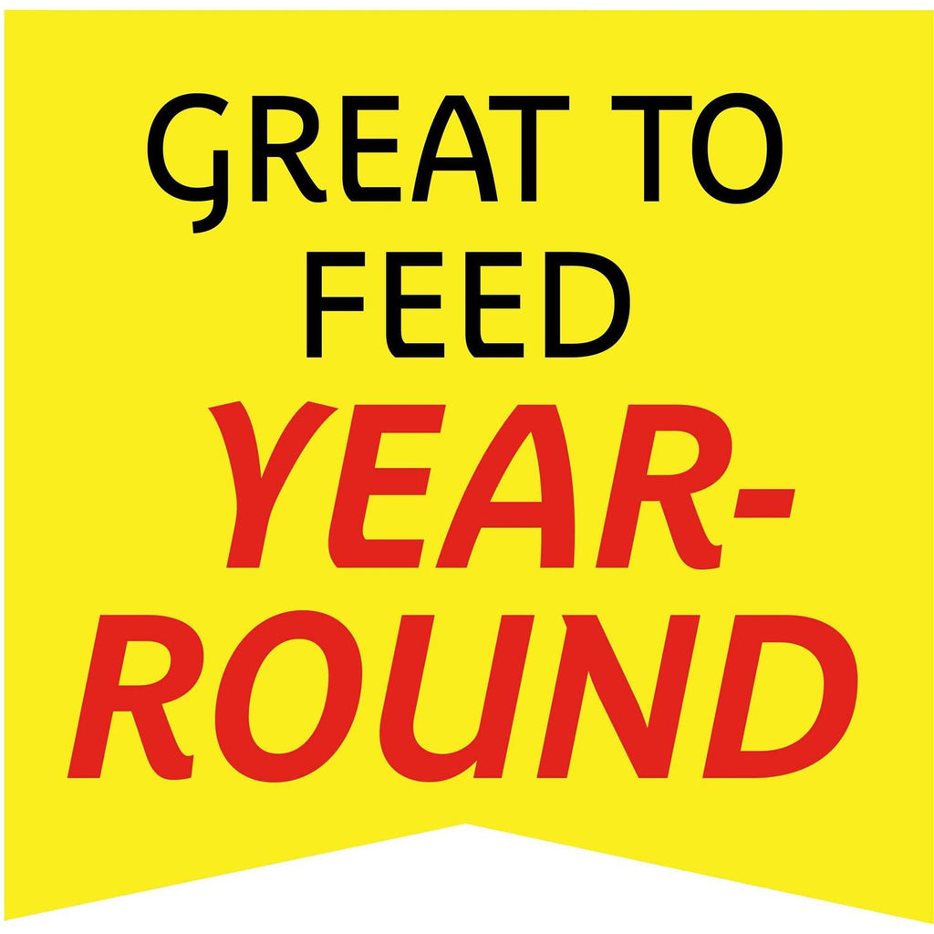 Wild Bird Feed and Seed C926