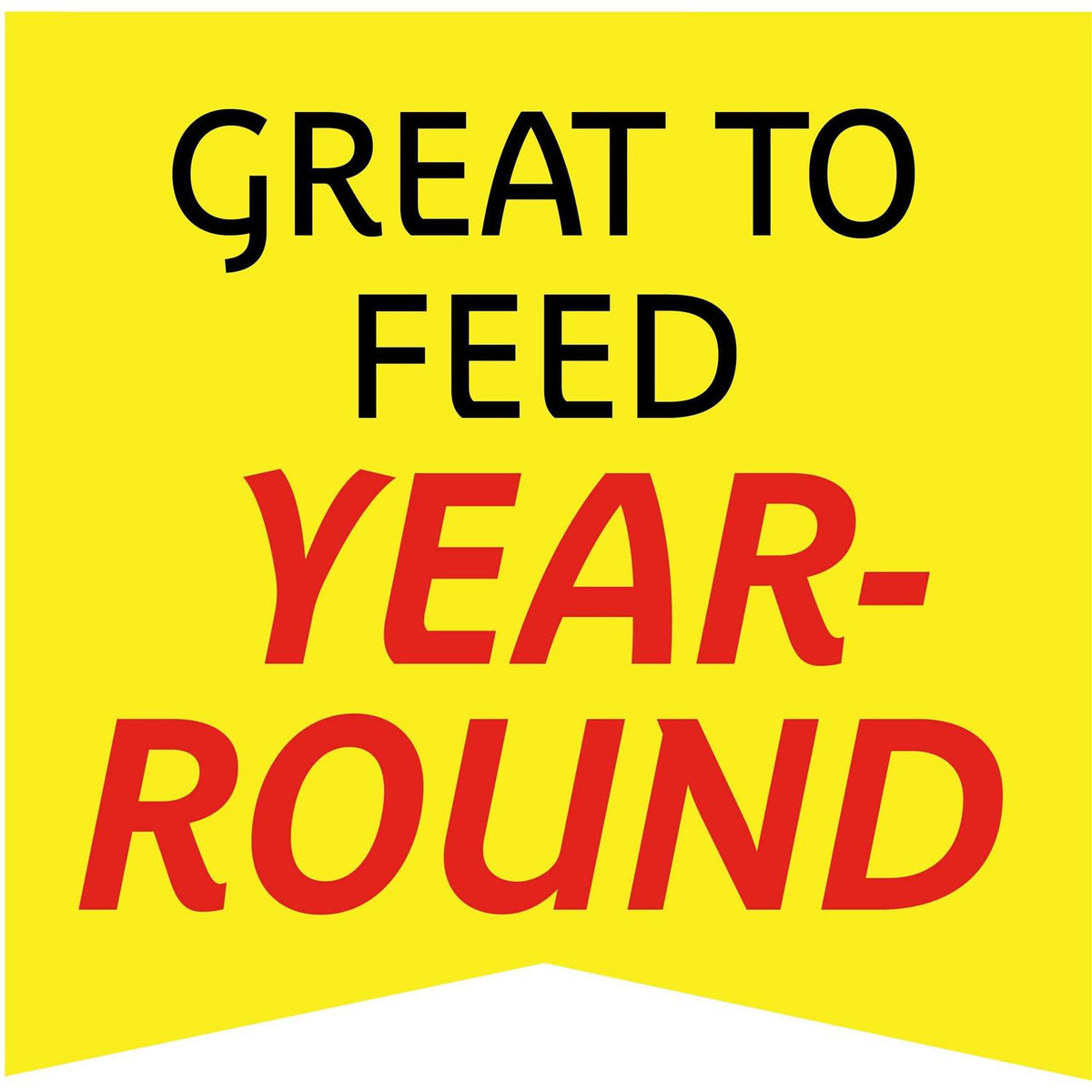 Wild Bird Feed and Seed C926