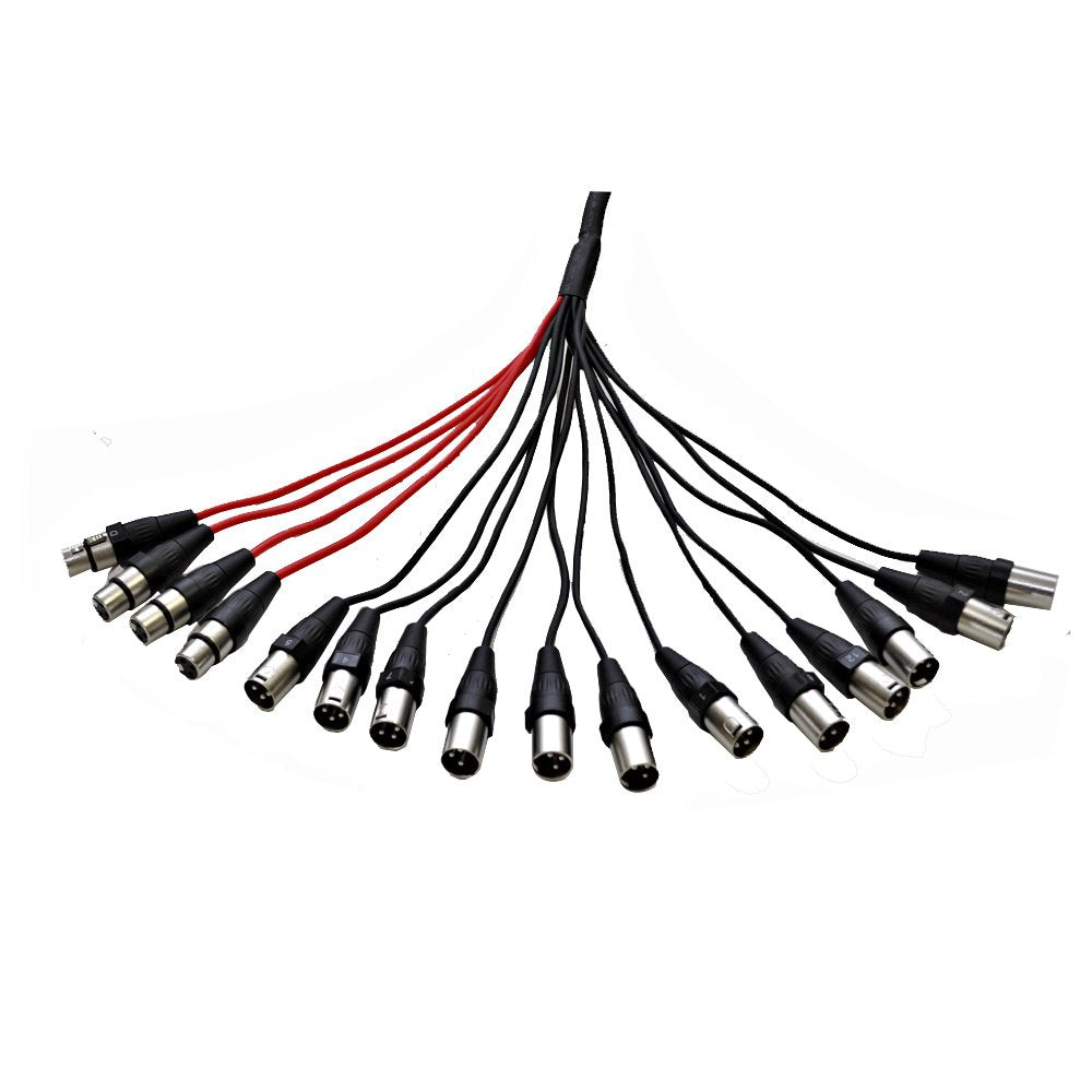 12 Channel XLR Snake Cable 100 Feet I3653