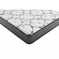 Twin Size Plush Mattress T63366