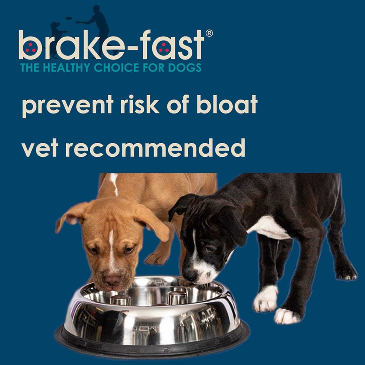 Stainless Steel Dog Bowl N4234