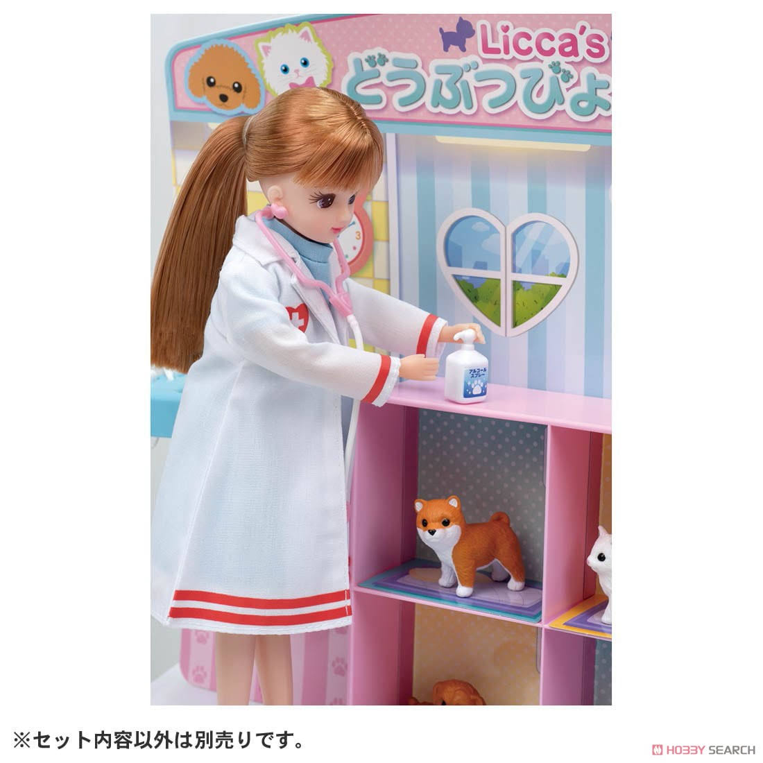 Dog & Cat X-Ray Veterinary Clinic K69190