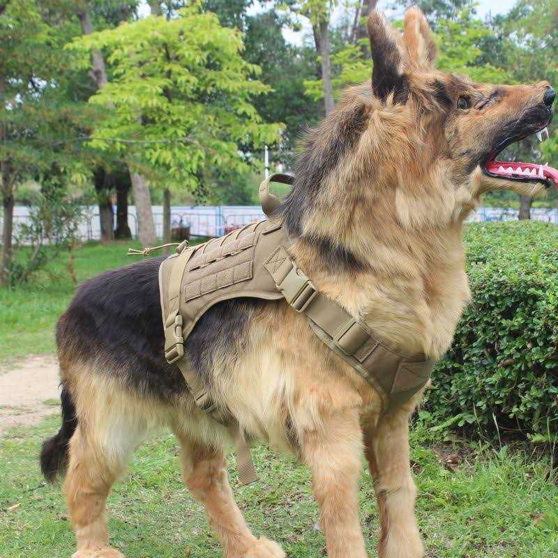 2X Metal Buckle Dog Harness with Handle L888870