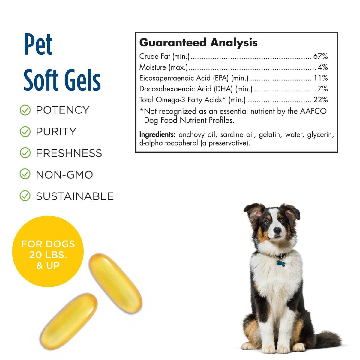 Omega 3 Pet B482669
