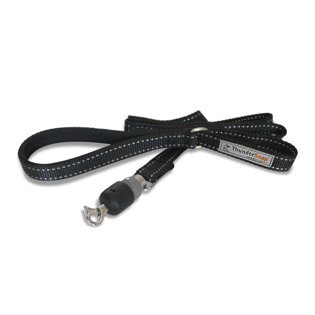 Quick-Connect Dog Leash E584223