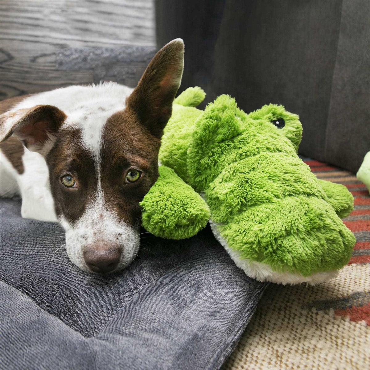 Dog Toy A545858