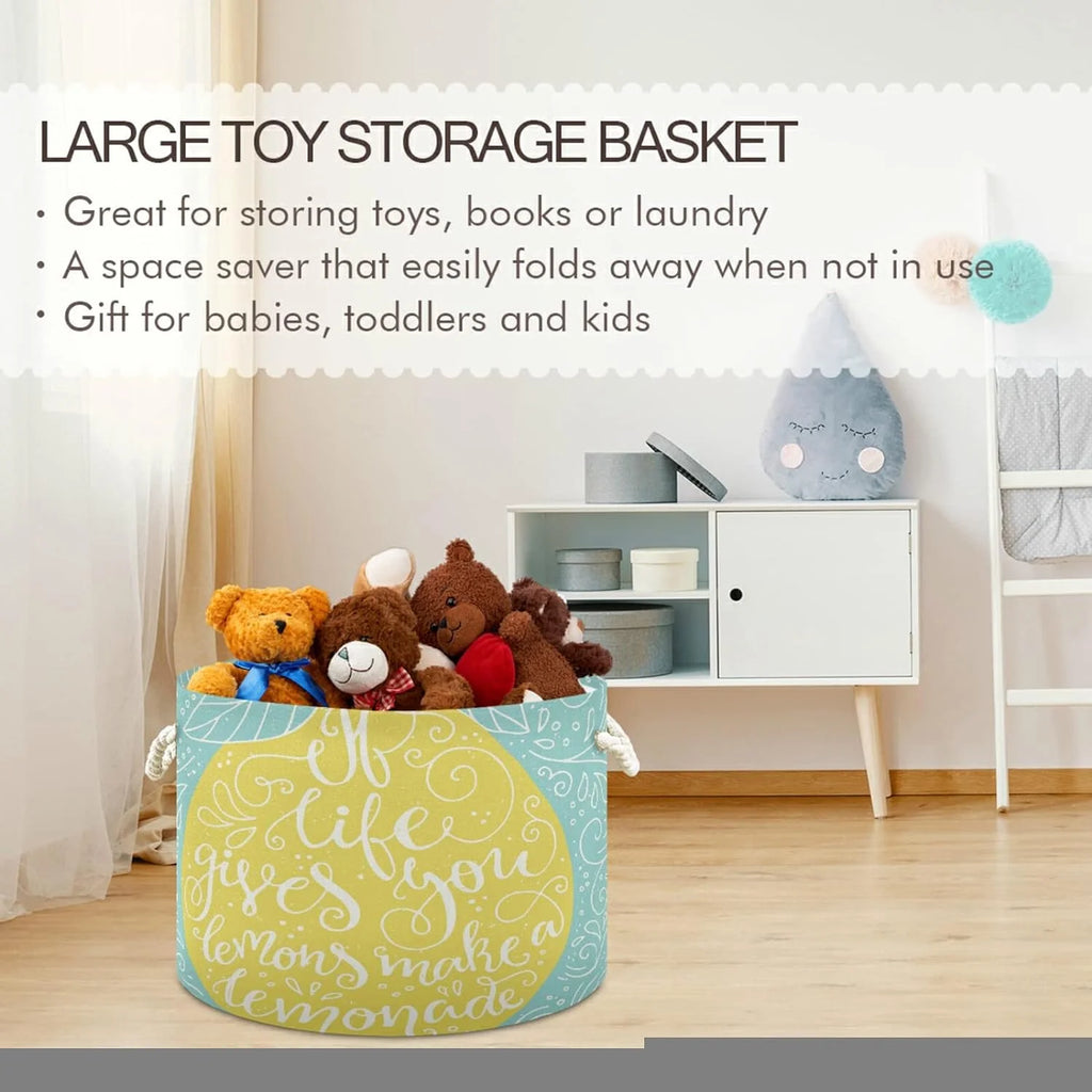 Large Collapsible Storage Basket with Handle, 20x20x14 in E85236