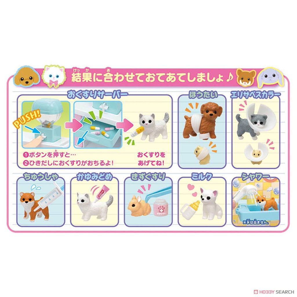 Dog & Cat X-Ray Veterinary Clinic K69190