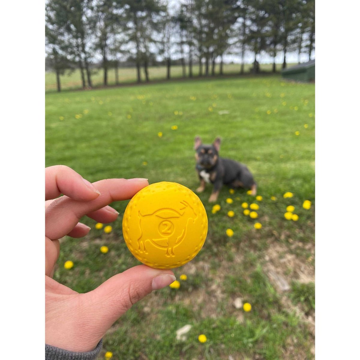 Goat Sport Ball Dog Toy D15416