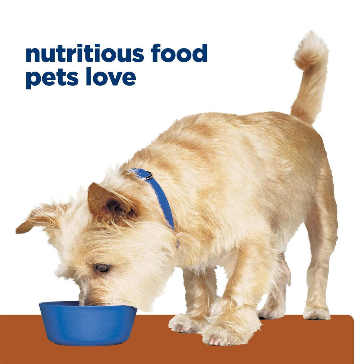 Chicken Dry Dog Food T87320