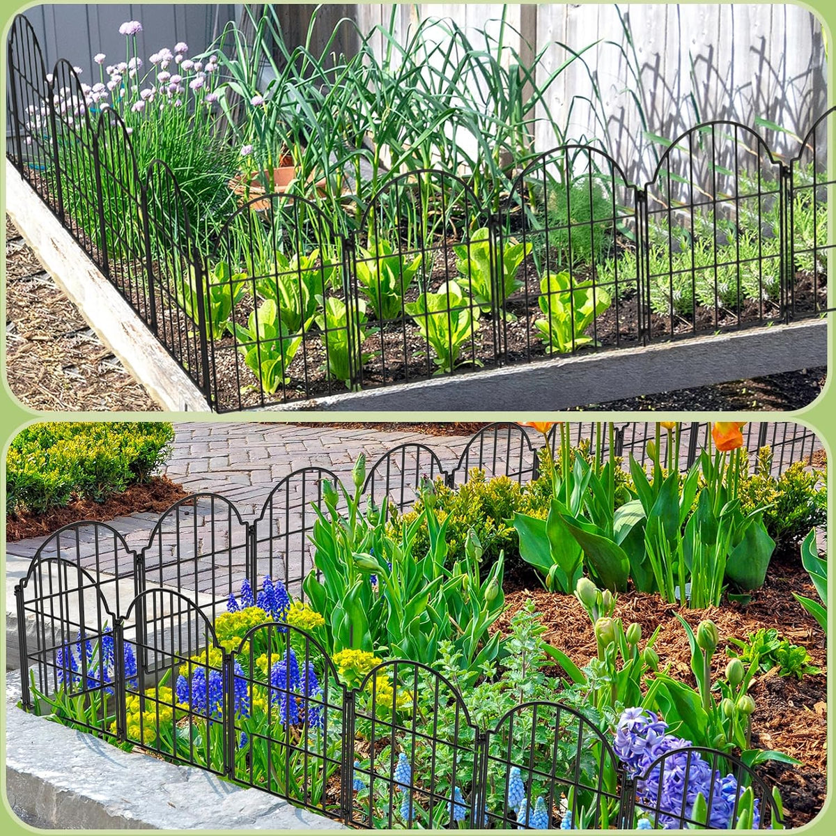 21in X 10.2ft Rustproof Metal Garden Fence, 10 Pack I465
