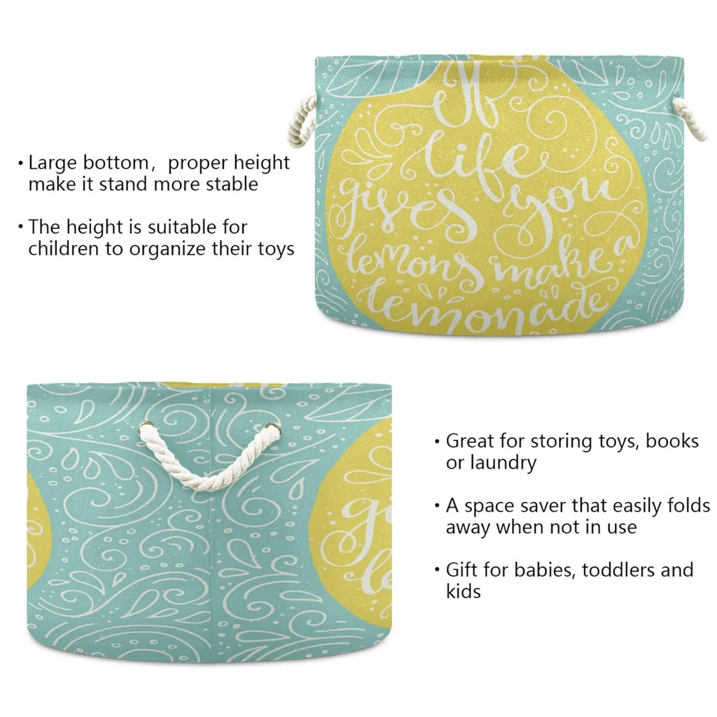 Large Collapsible Storage Basket with Handle, 20x20x14 in E85236