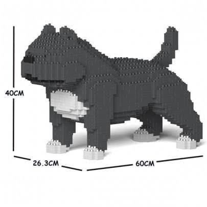 Blue/Grey Medium American Bully Gift T752