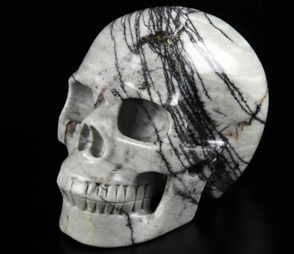 Black Crystal Skull Gemstone Sculpture Q837859