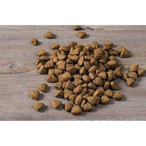 Chicken Oats & Turkey Dry Puppy Food V21194