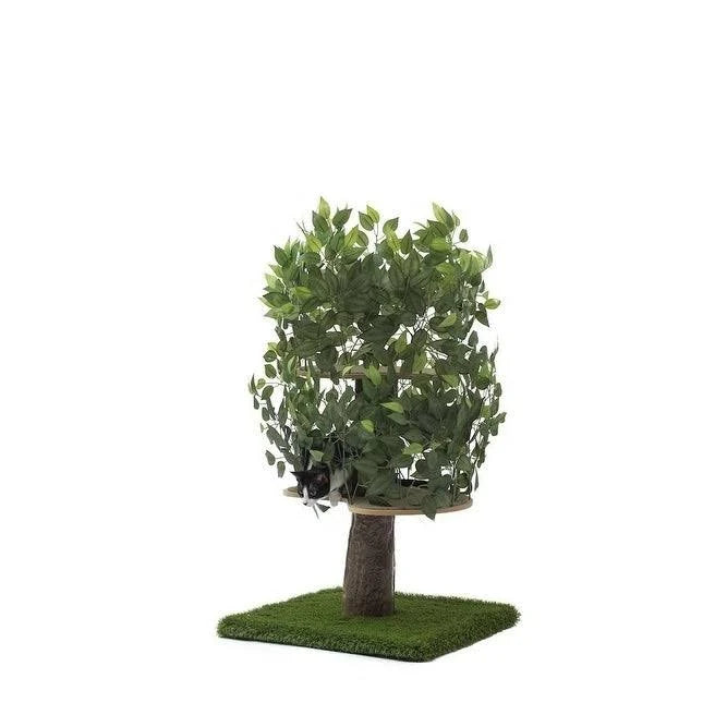 Plum Autumn 60-in Square Cat Tree I8886