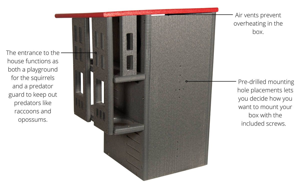Gray/Cardinal Red Squirrel House Nesting Box H274148