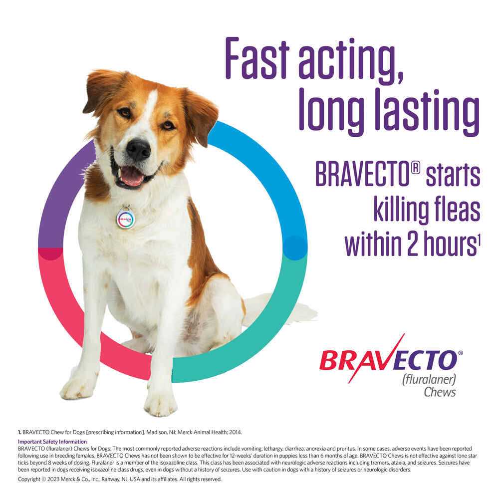 Bravecto Chews for Dogs L834